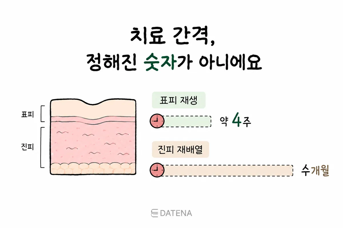 表皮の再生約4週間と真皮のコラーゲン再配列数か月を比較した治療間隔の図