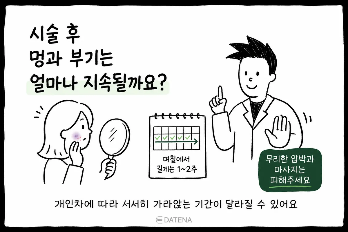 サブシジョン後のあざ・腫れの経過と回復中の注意点を、カレンダーと人物で示した図