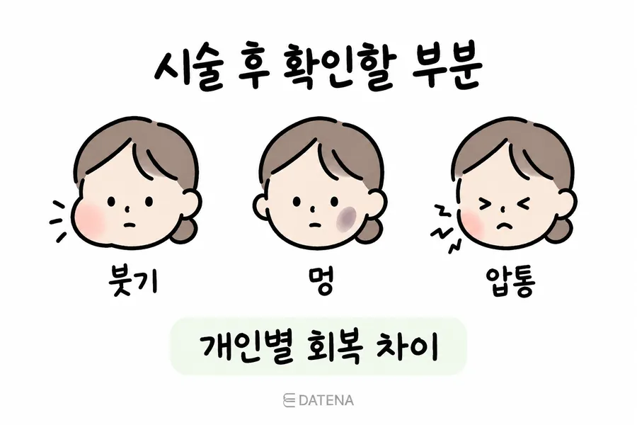 サブシジョン後に確認したい腫れ・内出血・押したときの痛みを顔のイラストで示した案内画像